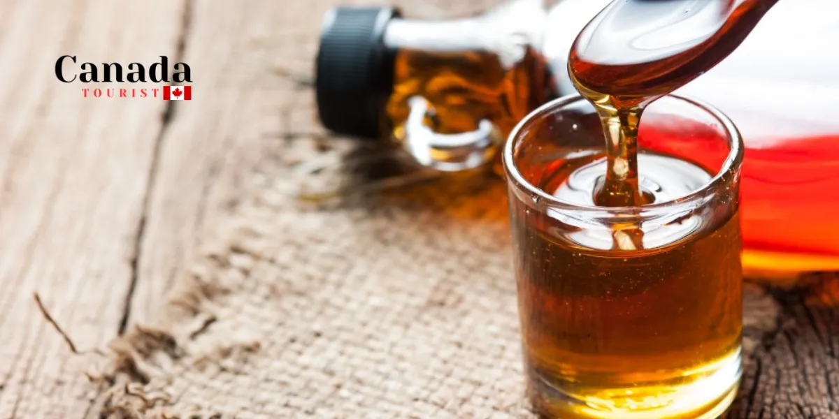 Where To Buy Ontario Maple Syrup Online