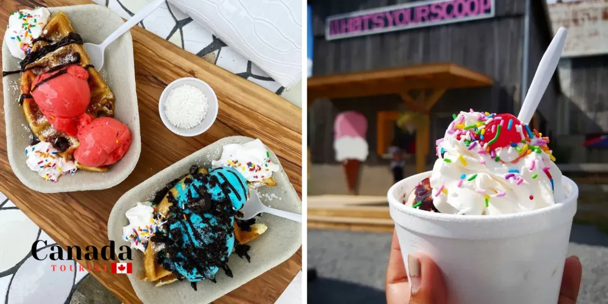 Ontario’S Favourite Ice Cream Shops