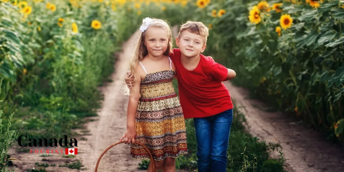 Flower Power: The Best Places To Walk Among Sunflowers In Ontario