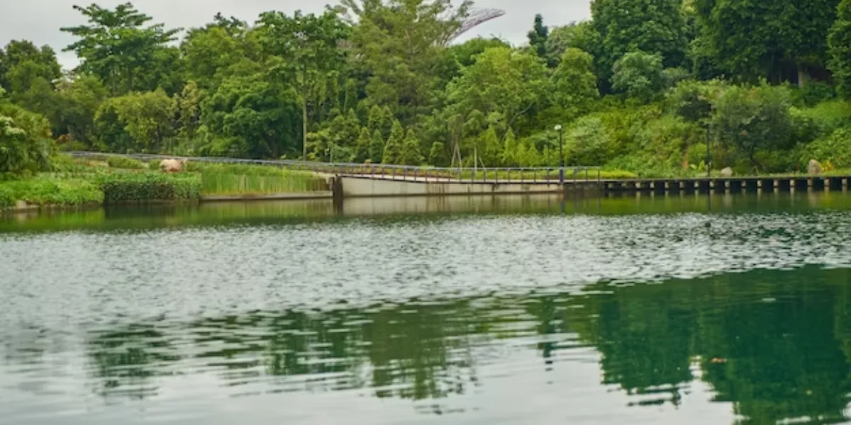 When Vast Forest Meets The Vaster Water Bodies – Must-Visit Lakes In Vancouver