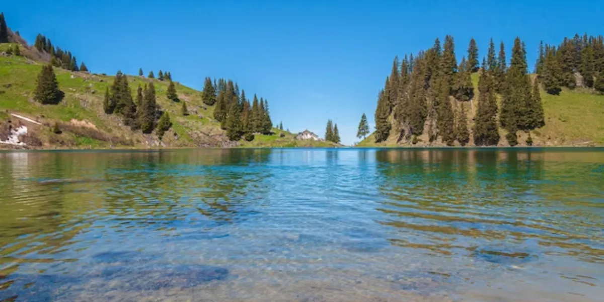 When Vast Forest Meets The Vaster Water Bodies – Must-Visit Lakes In Vancouver