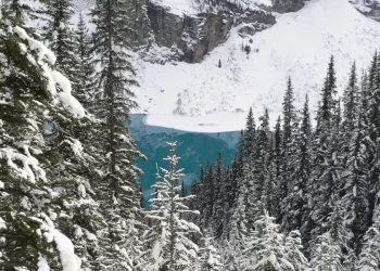 8 Fun Things To Do In Lake Louise In Winter
