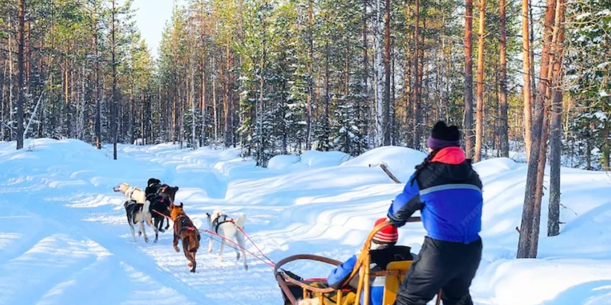 8 best things to do in winter wonderland in canada