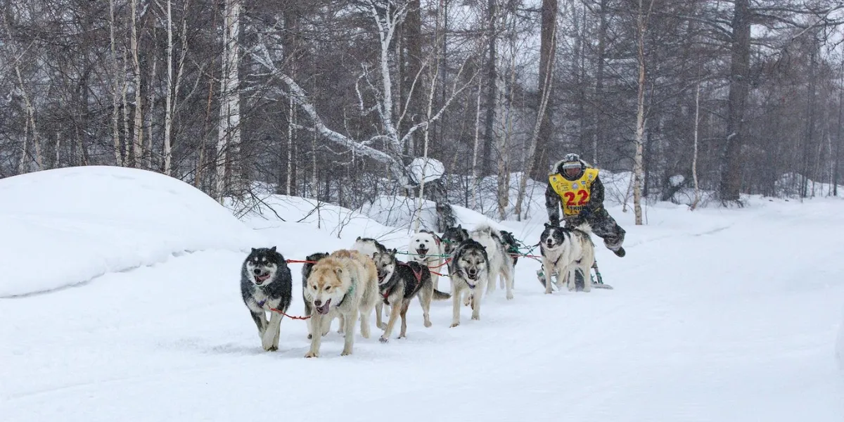 What Activities Should Be Done In Banff Winter?