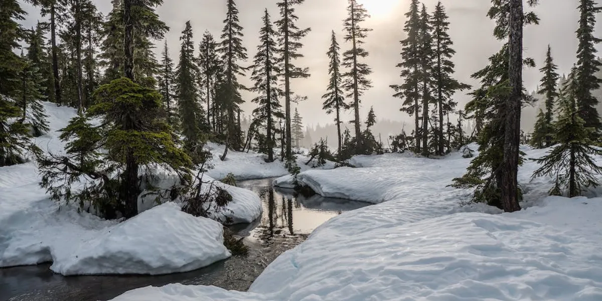 When Is The First Day Of Winter In Canada?