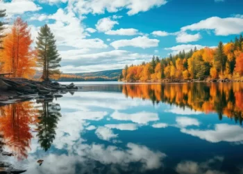 Best Things To Do In Algonquin Park