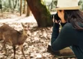 Exploring Canada's Wildlife: A Natural Exploration