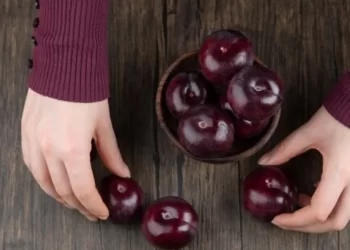 WHERE TO STOP ON THE MUSKOKA CRANBERRY ROUTE