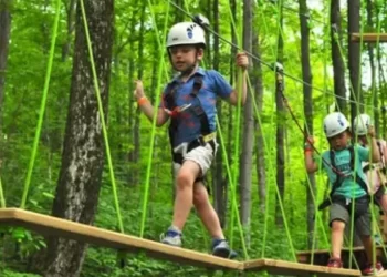 MIND BLOWING TREETOP ADVENTURES TO TRY THIS FALL IN ONTARIO
