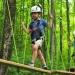 MIND BLOWING TREETOP ADVENTURES TO TRY THIS FALL IN ONTARIO