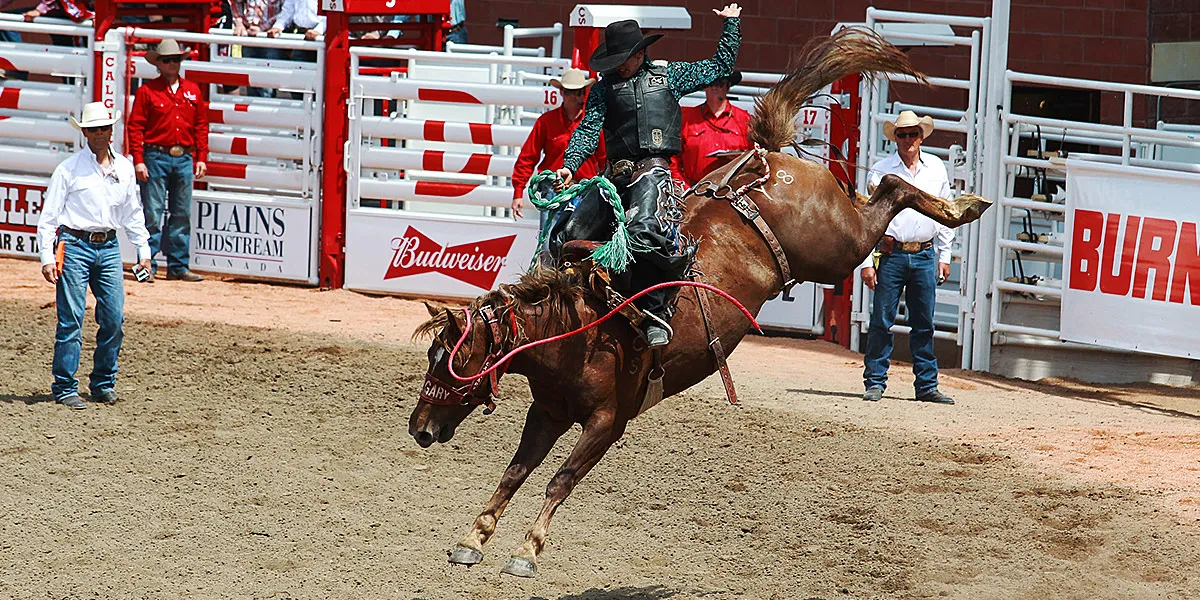 6 Of Alberta’s Best Summer Festivals