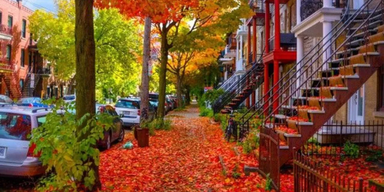 The Most Colourful Destinations In Canada This Autumn