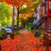 The Most Colourful Destinations In Canada This Autumn