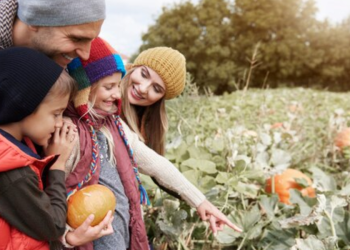 6 Activities Your Family Will love In British Columbia