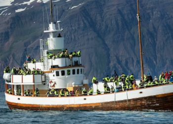 7 Unexpected Delights Of An Alaskan Cruise