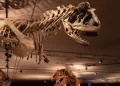 Dinosaur Museum In Alberta Is Named One Of The Best In The World