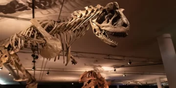 Dinosaur Museum In Alberta Is Named One Of The Best In The World