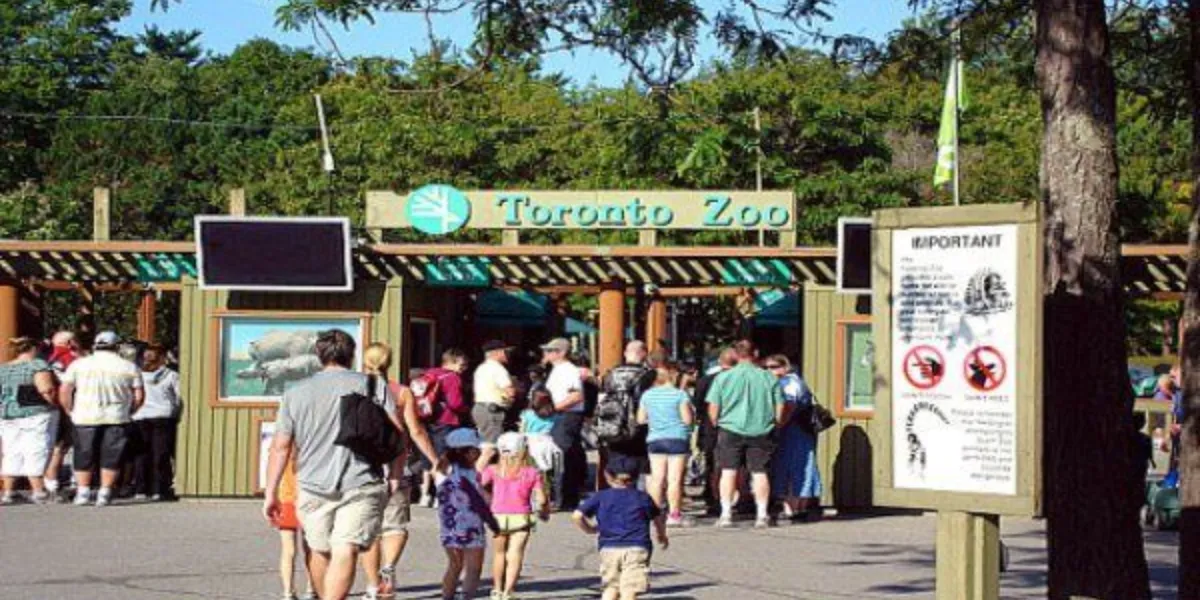 Parents’ Guide To Family-Friendly Attractions In Toronto